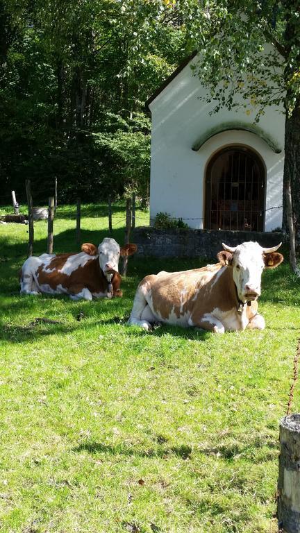 Aparthotel Alpenpark Kochel am See Exterior photo